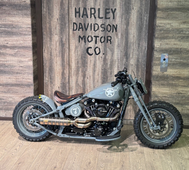 HARLEY-DAVIDSON FLSS 1801 Softail Slim S 110 Custom Used