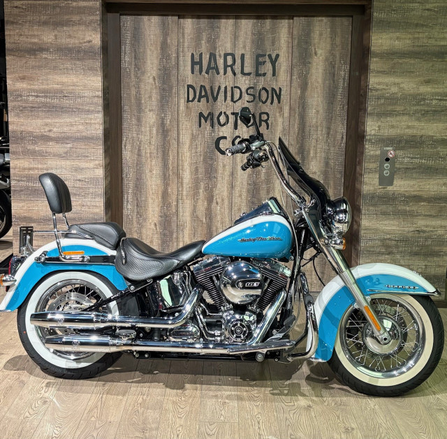 HARLEY-DAVIDSON FLSTN 1690 Softail Deluxe Custom Usato