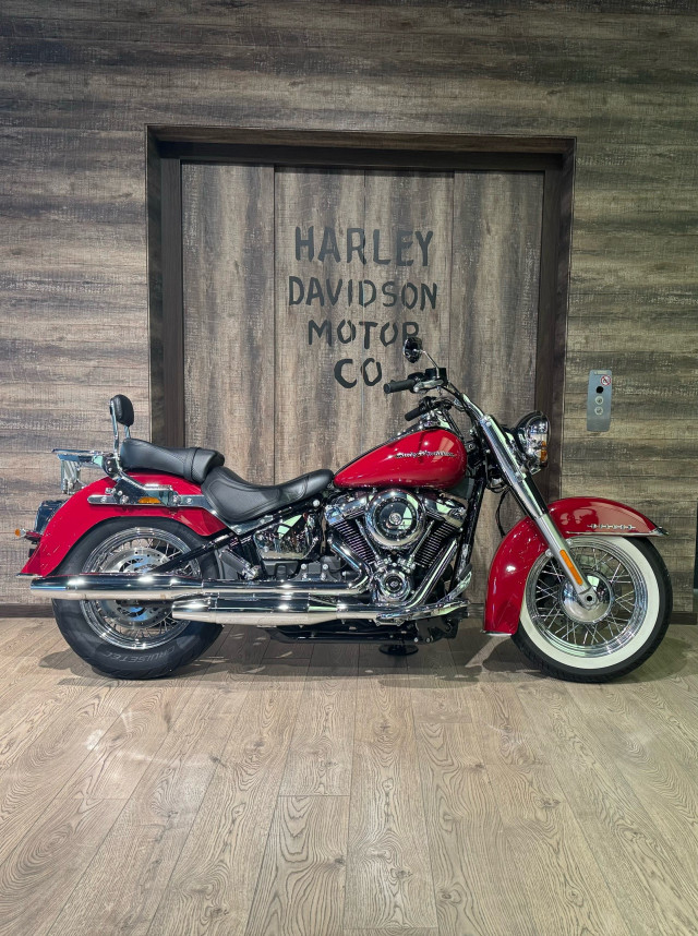 HARLEY-DAVIDSON FLDE 1745 Softail Deluxe 107 Custom Usato