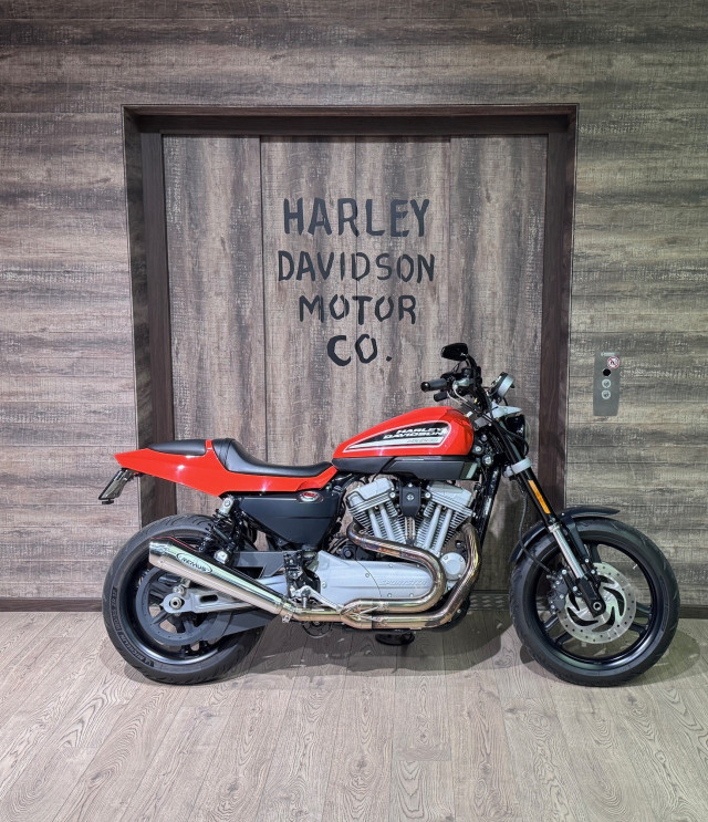 HARLEY-DAVIDSON XR 1200 Sportster Custom Usato