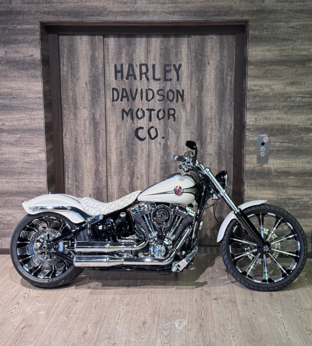 HARLEY-DAVIDSON FXSB 1690 Softail Breakout Custom Usato