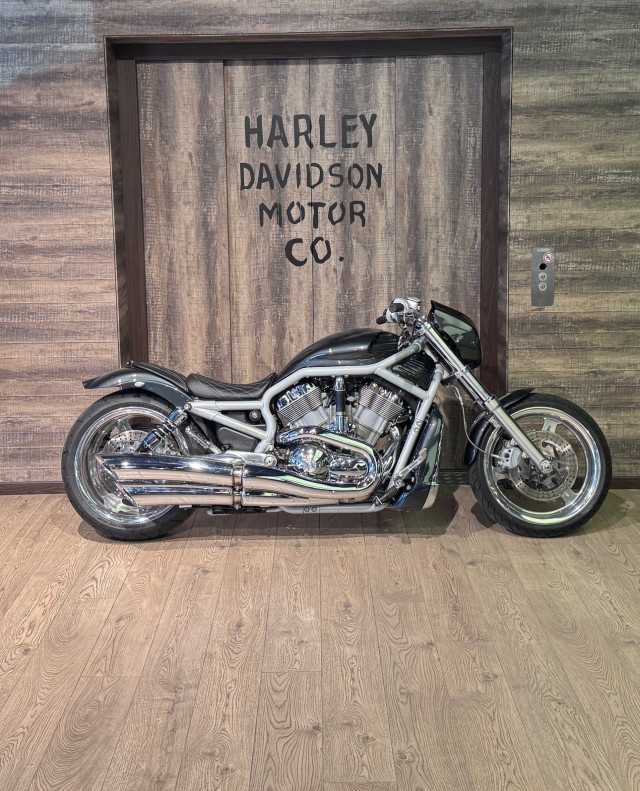 HARLEY-DAVIDSON VRSCA 1130 V-Rod Custom Occasion