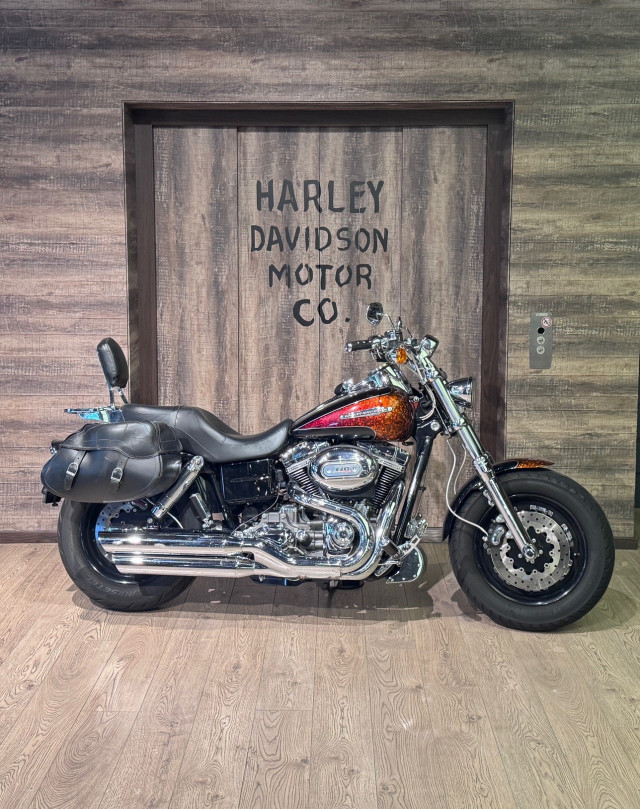 HARLEY-DAVIDSON FXDFSE 1801 CVO Dyna Fat Bob Custom Occasion