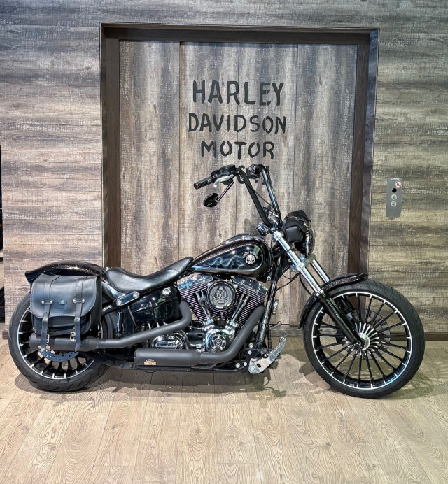 HARLEY-DAVIDSON FXSB 1690 Softail Breakout Custom Occasion