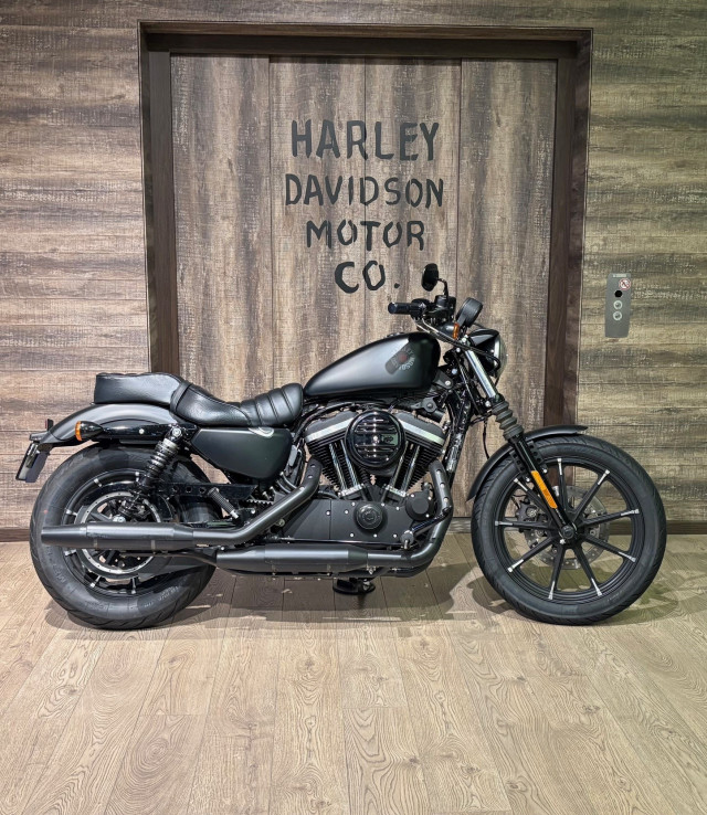 HARLEY-DAVIDSON XL 883 N Sportster Iron Custom Occasion