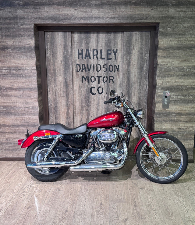 HARLEY-DAVIDSON XL 1200 C Sportster Custom Custom Occasion