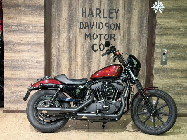 HARLEY-DAVIDSON XL 1200 NS Sportster Iron Custom Occasion