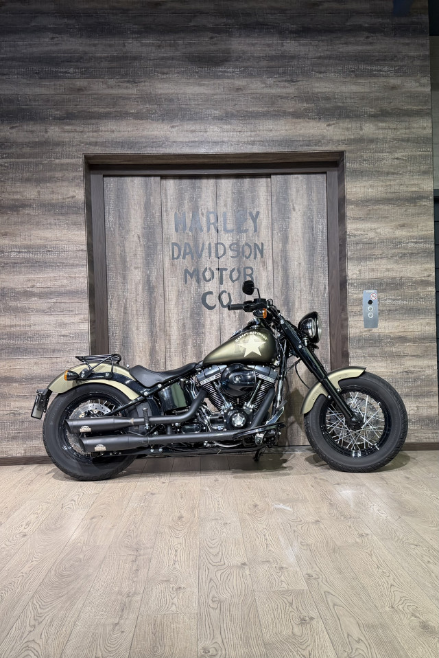 HARLEY-DAVIDSON FLSS 1801 Softail Slim S 110 Custom Occasion HARLEY-DAVIDSON FLSS 1801 Softail Slim S 110 Custom Occasion