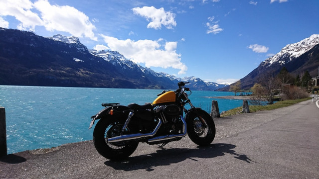 HARLEY-DAVIDSON XL 1200 X Sportster Forty Eight Custom Used