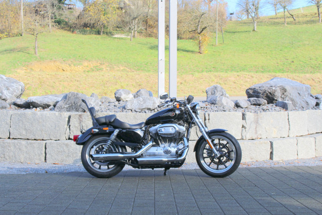 HARLEY-DAVIDSON XL 883 L Sportster Super Low Custom Occasion