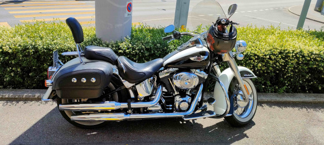 HARLEY-DAVIDSON FLSTNI 1450 Softail Deluxe Custom Occasion