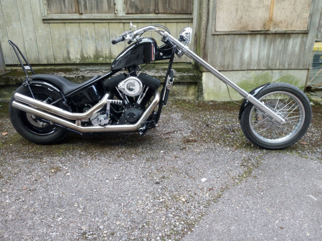 HARLEY-DAVIDSON Diverse Custom Usato