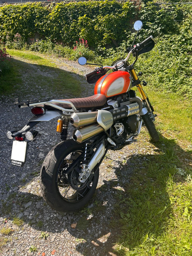 TRIUMPH Scrambler 1200 XE Gold Line Retro Occasion