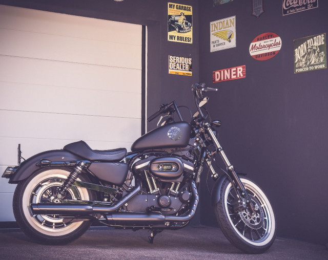 HARLEY-DAVIDSON XL 883 R Sportster Roadster Custom Occasion