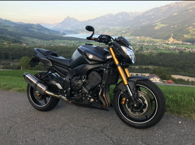 YAMAHA FZ 8 N Naked Occasion