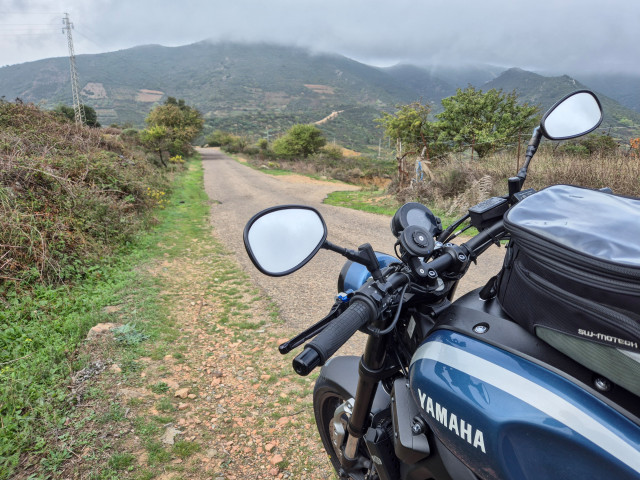 YAMAHA XSR 900 Retro Occasion