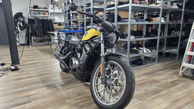 HARLEY-DAVIDSON RH 975 Nightster Special Custom Occasion
