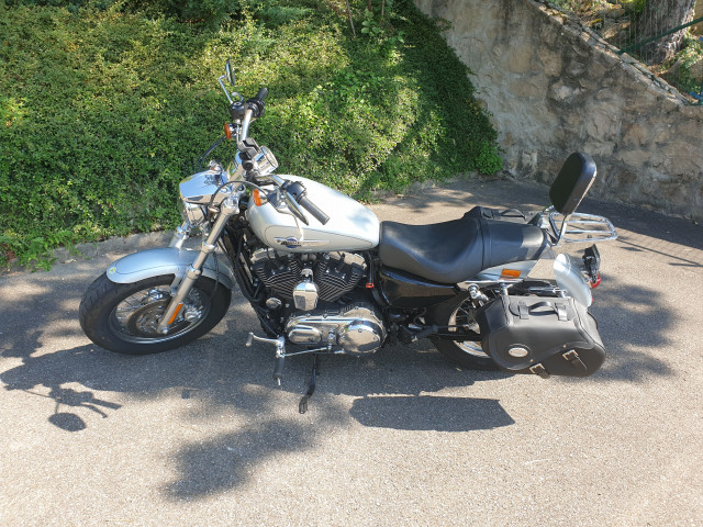 HARLEY-DAVIDSON XL 1200 C Sportster Custom Custom Occasion