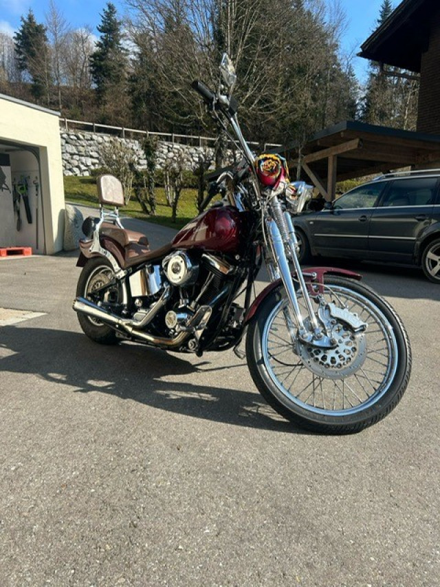 HARLEY-DAVIDSON FXSTC 1340 Softail Custom Custom Occasion