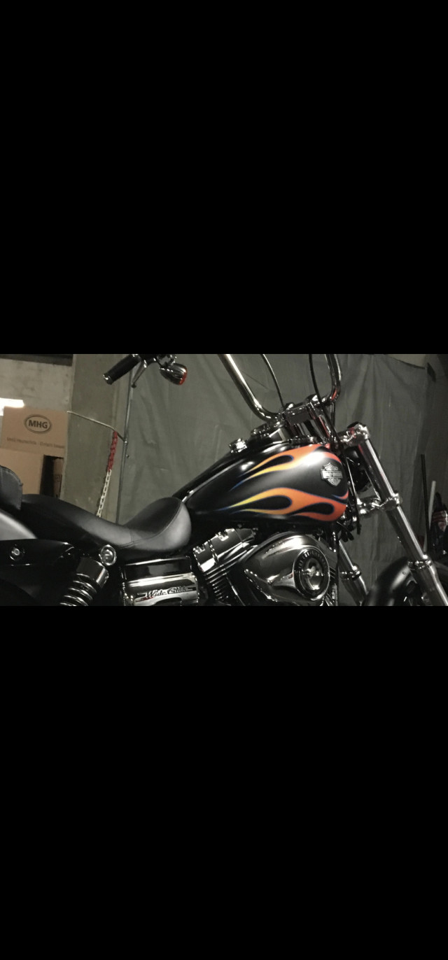 HARLEY-DAVIDSON FXDWG 1690 Dyna Wide Glide Custom Occasion