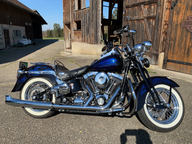 HARLEY-DAVIDSON FLSTSC 1584 Softail Heritage Springer Classic Custom Occasion