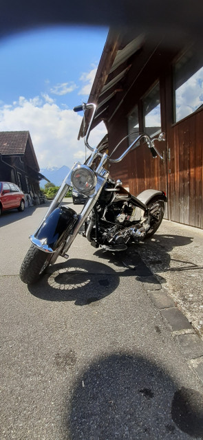HARLEY-DAVIDSON FL Panhead Bobber Custom Occasion