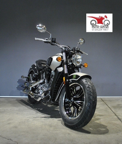 INDIAN Scout Custom Used