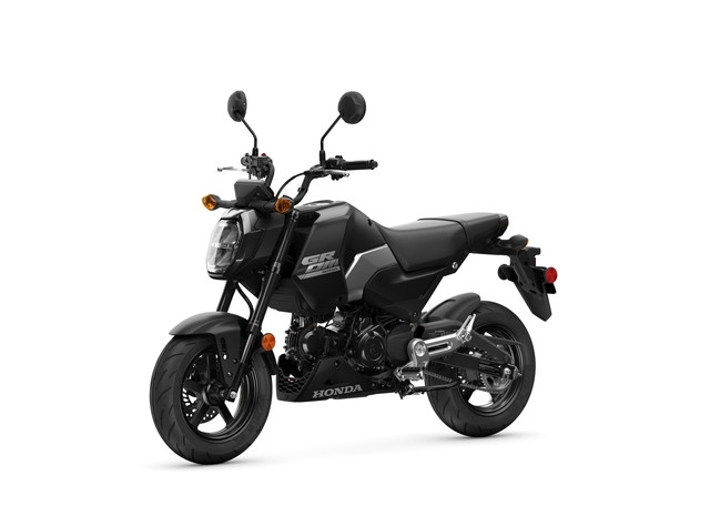 HONDA MSX 125 Grom Naked Tageseinlösung