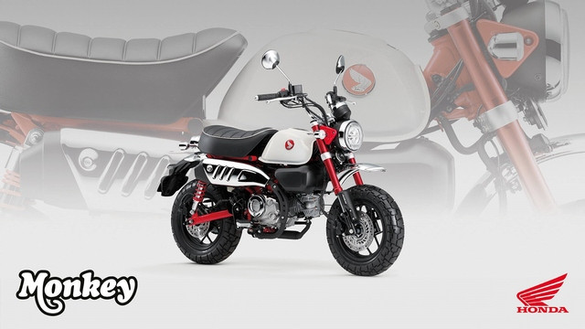 HONDA Z 125 MA Monkey Naked Neufahrzeug