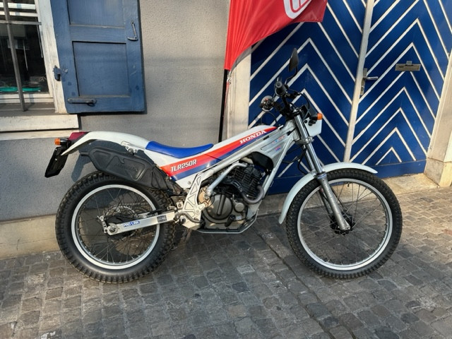 HONDA TLR250R Trial Usato