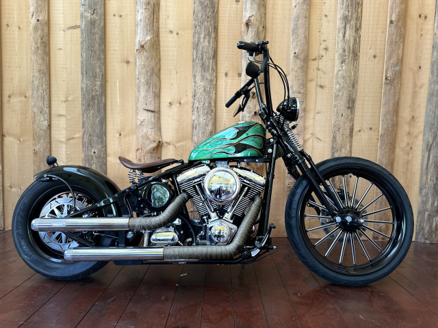 HARLEY-DAVIDSON MCP Custom Occasion