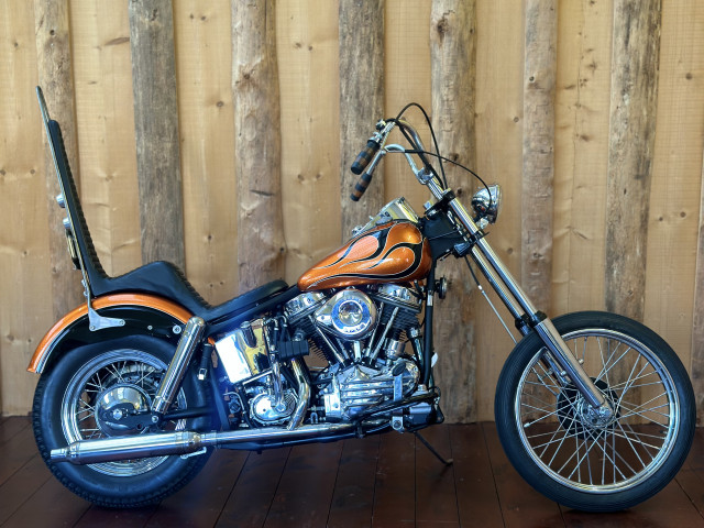 HARLEY-DAVIDSON Panhead Custom Occasion