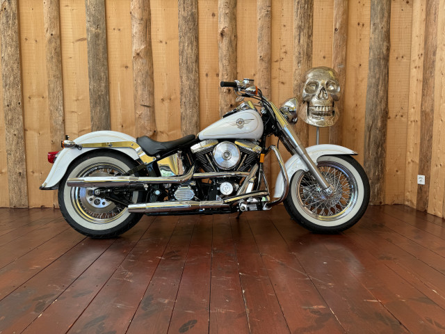 HARLEY-DAVIDSON FLSTF 1340 Softail Fat Boy Custom Occasion