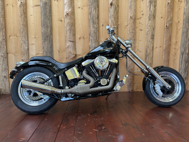 HARLEY-DAVIDSON FXSTC 1340 Softail Custom Custom Occasion