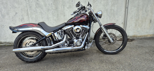 HARLEY-DAVIDSON FXSTC 1584 Softail Custom Custom Occasion HARLEY-DAVIDSON FXSTC 1584 Softail Custom Custom Occasion